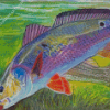 Drum Fish Diamond Painting Art