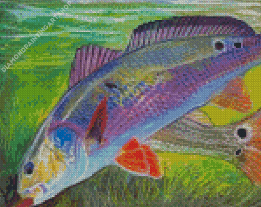 Drum Fish Diamond Painting Art