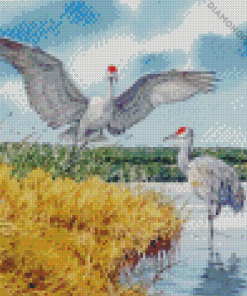 Sandhill Birds Diamond Painting Art