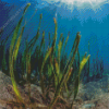 Seagrasses Underwater Diamond Painting Art