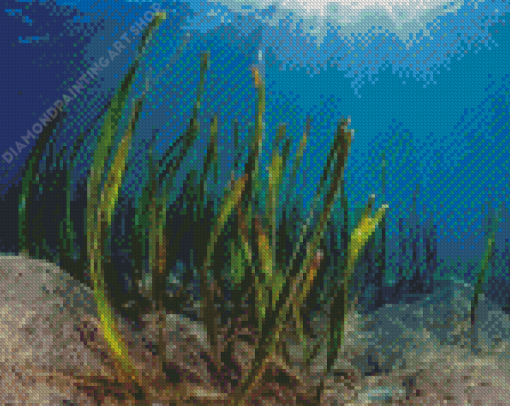 Seagrasses Underwater Diamond Painting Art
