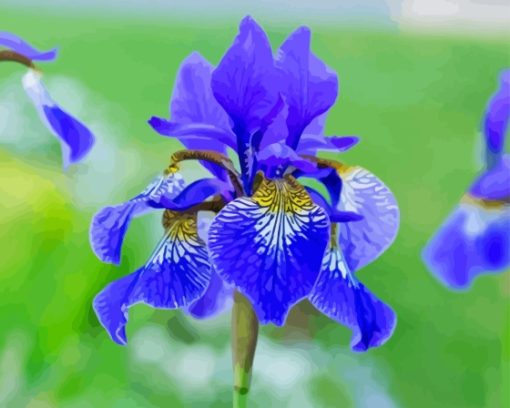 Iris Flower Diamond Painting Art