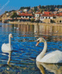Swans In Lake Diamond Painting Art