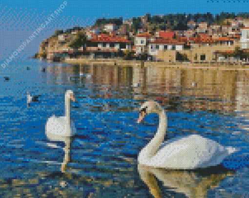 Swans In Lake Diamond Painting Art