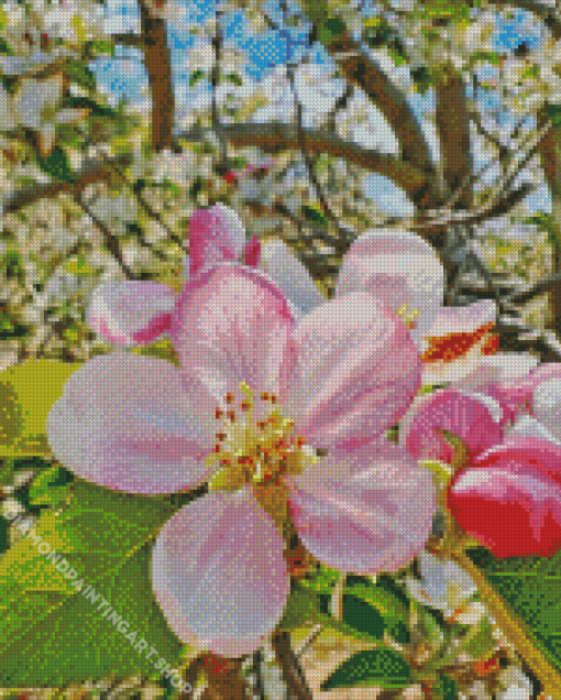 Apple Flower Diamond Painting Art