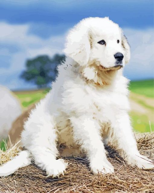 Cute Pyrenees Diamond Painting Art