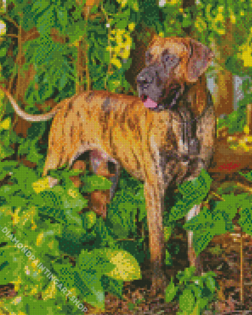 Dane Brindle Diamond Painting Art