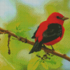 Aesthetic Songbird Diamond Painting Art