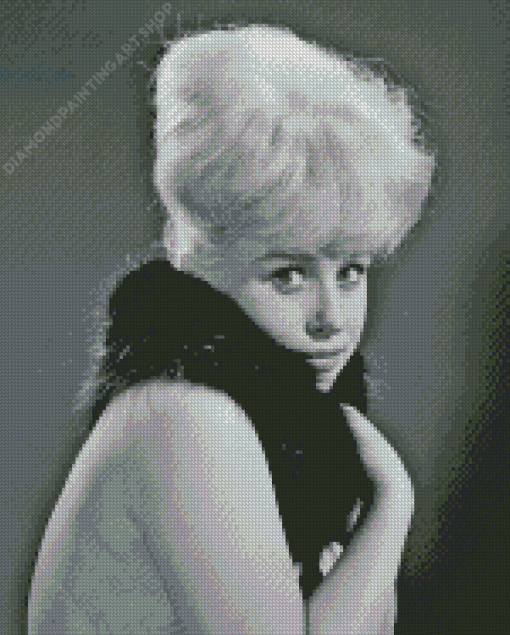 Barbara Windsor Diamond Painting Art