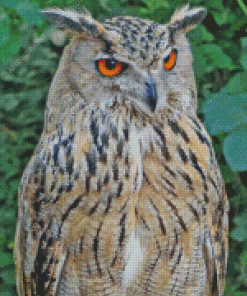 Eurasian Eagle Owl Diamond Painting Art