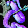 Bluish Snake Diamond Painting Art