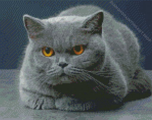 British Shorthair Diamond Painting Art