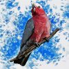 Galah Bird Diamond Painting Art