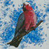 Galah Bird Diamond Painting Art