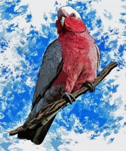 Galah Bird Diamond Painting Art