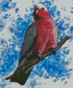 Galah Bird Diamond Painting Art