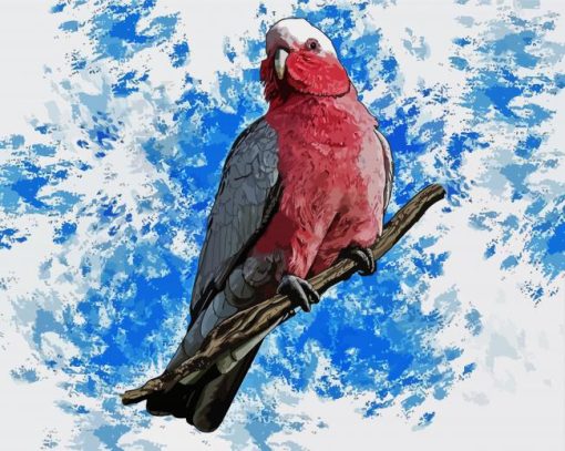 Galah Bird Diamond Painting Art