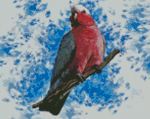 Galah Bird Diamond Painting Art