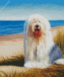 Sheepdog At Beach Diamond Painting Art