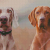 Weimaraner Dogs Diamond Painting Art