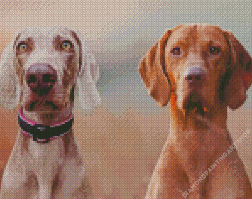 Weimaraner Dogs Diamond Painting Art