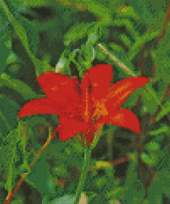 Lily Flower Diamond Painting Art