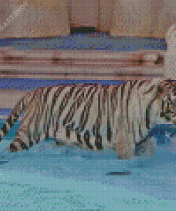 Tiger In The Pool Diamond Painting Art