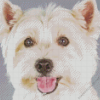 Terrier Puppy Diamond Painting Art
