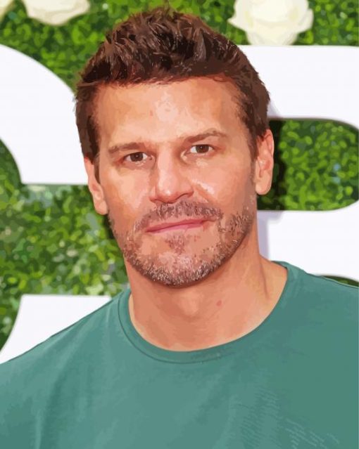 David Boreanaz Diamond Painting Art