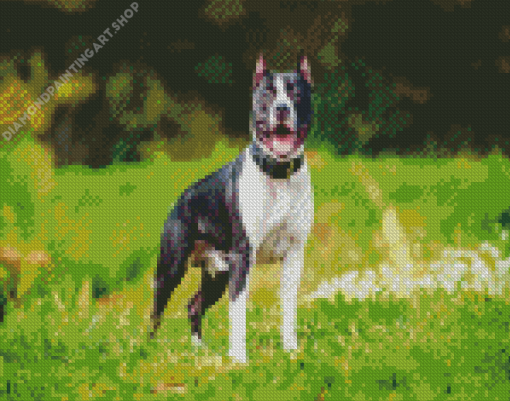 American Staffordshire Diamond Painting Art