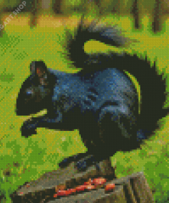 Squirrel Animal Diamond Painting Art