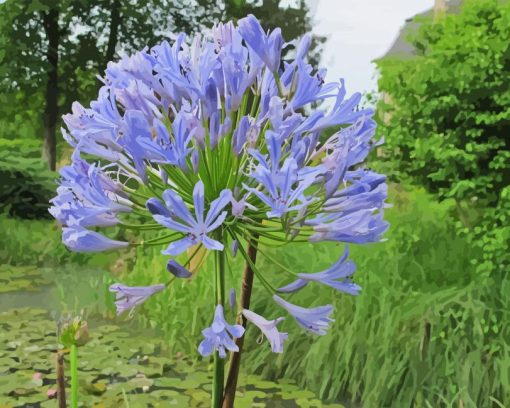 Agapanthus Flowering Diamond Painting Art