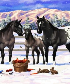 Appaloosa Horses In Snow diamond painting