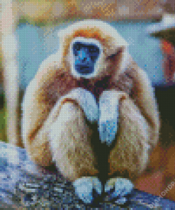 Gibbon Animal Diamond Painting Art