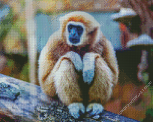 Gibbon Animal Diamond Painting Art