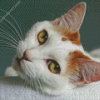 Japanese Bobtail Diamond Painting Art