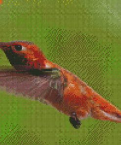 Rufous Hummingbird Diamond Painting Art