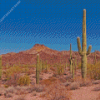 Southwestern Desert Diamond Painting Art