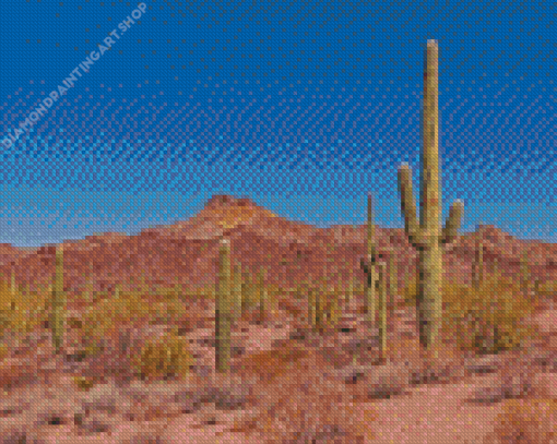Southwestern Desert Diamond Painting Art