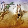 Horse And Motorcycle Diamond Painting Art