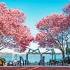 Cherry Blossoms Washington Diamond Painting Art
