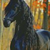 Black Friesian Horse Diamond Painting Art