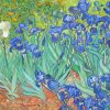 Iries Vincent Van Gogh 5D Diamond Painting Art