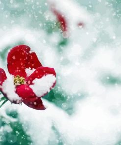 Flower In Snow Diamond Painting Art