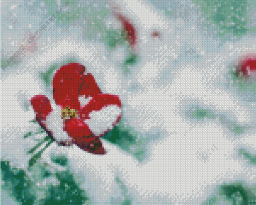 Flower In Snow Diamond Painting Art