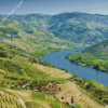 The Douro Valley Diamond Painting Art