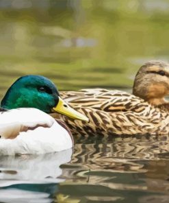 Ducks In Pond Diamond Painting Art