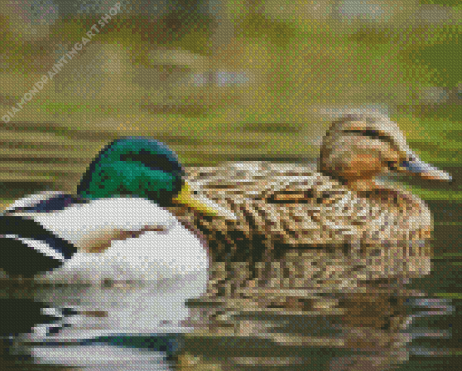 Ducks In Pond Diamond Painting Art