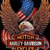 Eagle With Harley Davidson Diamond Painting Art