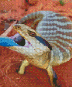 Blue Tongued Skink Reptile Diamond Painting Art